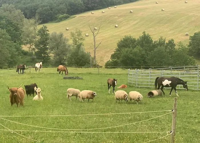 Gite A La Ferme Avec Jacuzzi Et Piscine Chauffee